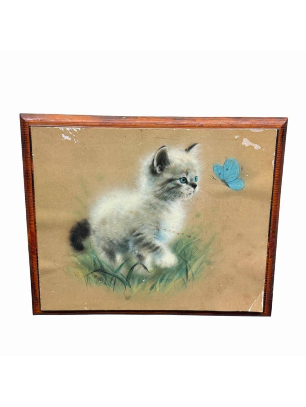 Blue Eyed Kitten Butterfly Framed Print Wood Wall Art Cottagecore Cat Decor READ